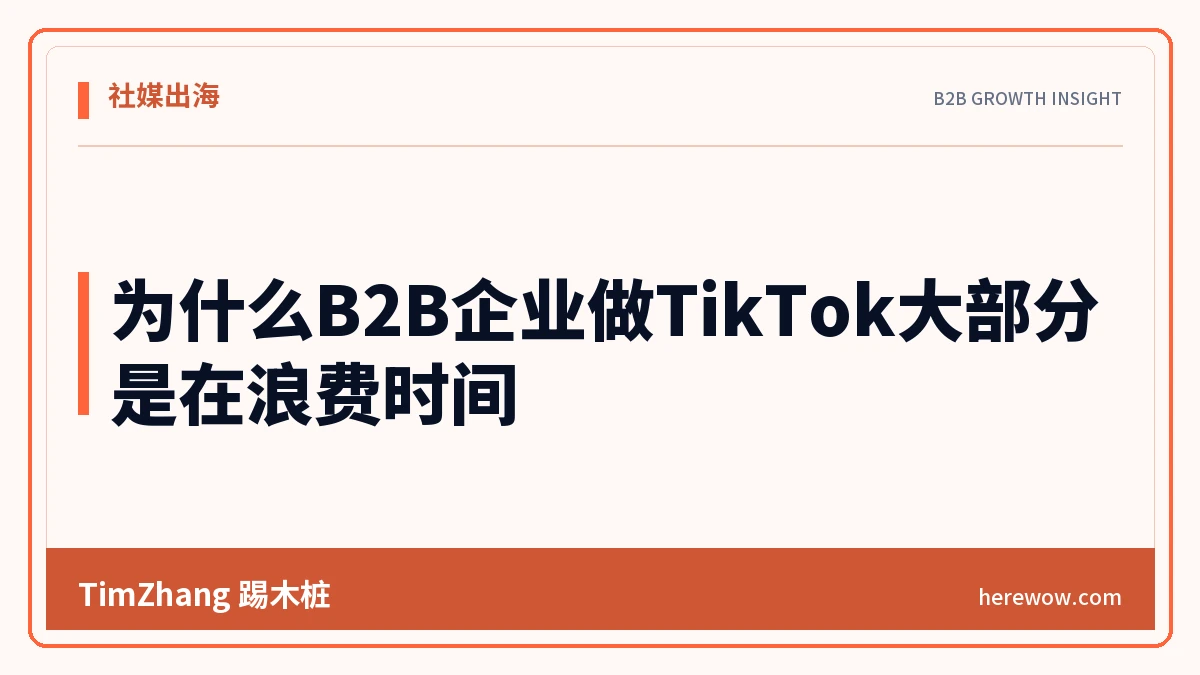 为什么B2B企业做TikTok大部分是在浪费时间 - TimZhang踢木桩