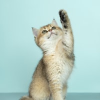 广州某灯具制造商 — 运营经理客户评价